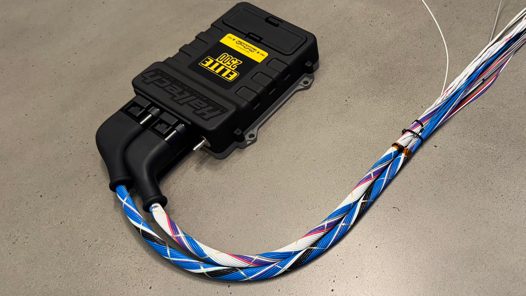 M5X/S5X E36 Engine Harness