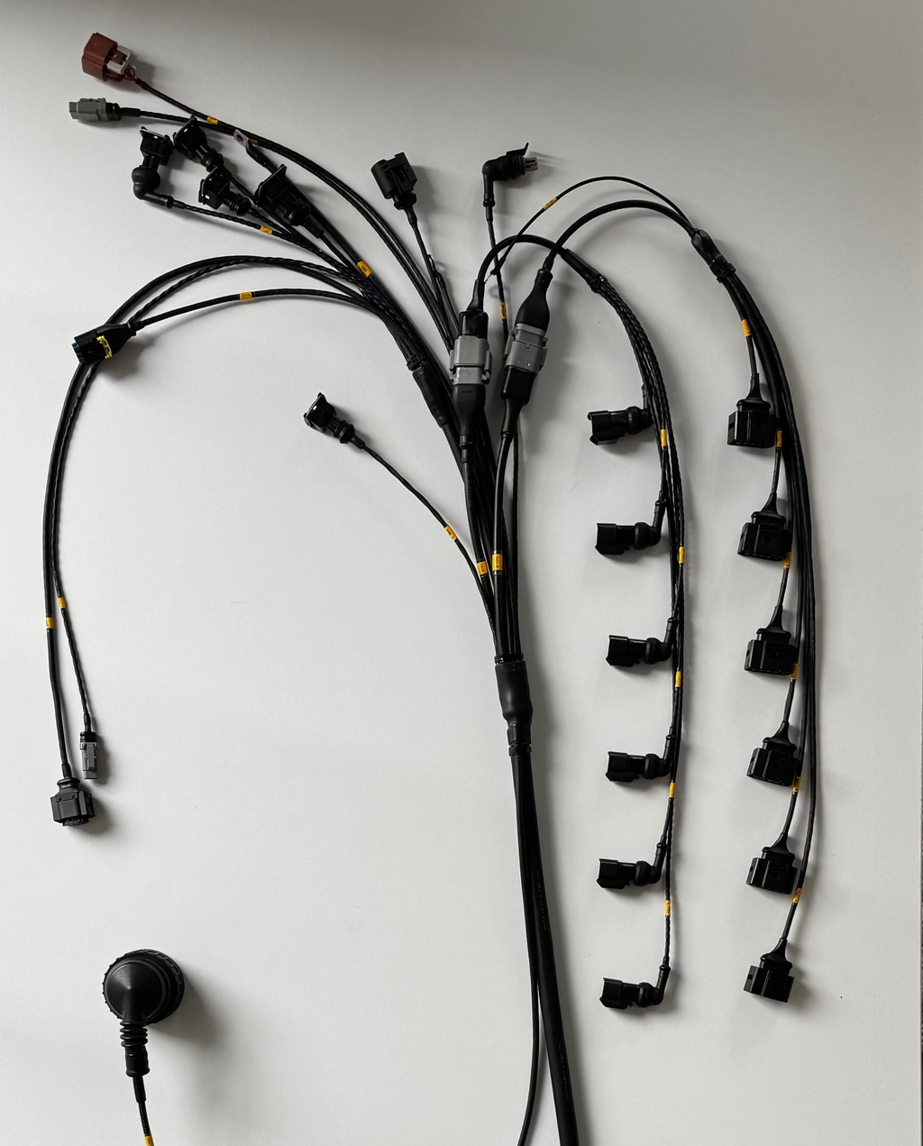 M5X/S5X E36 Engine Harness